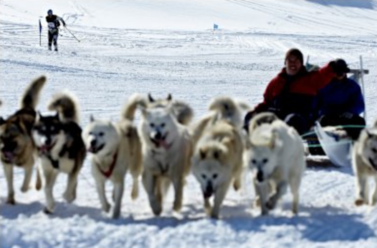 acr-greenland