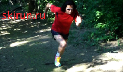 Vegetarian Multicomponent Protein �������: ����.