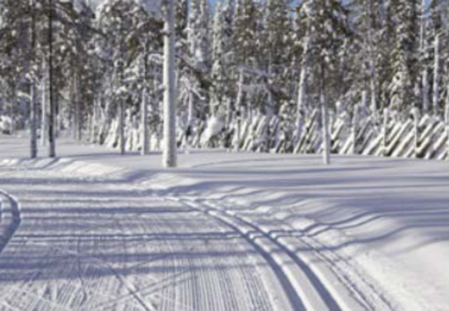 ski-course