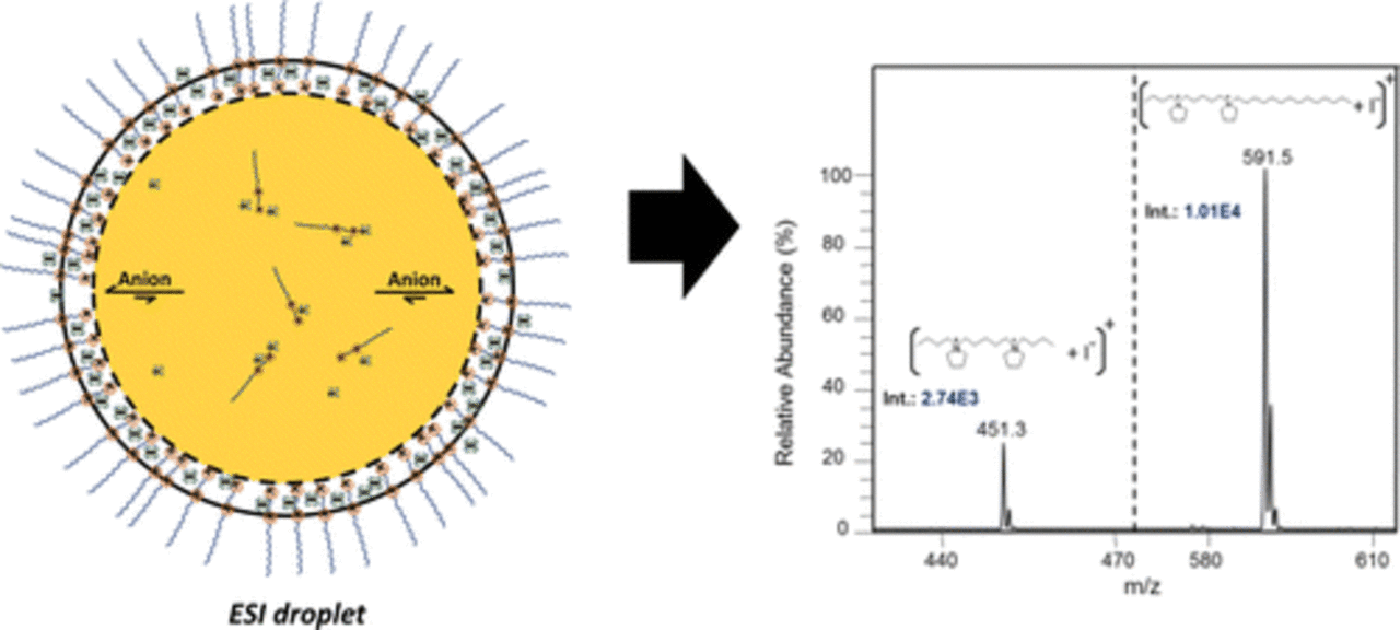 Paired Ion Electrospray Ionisation