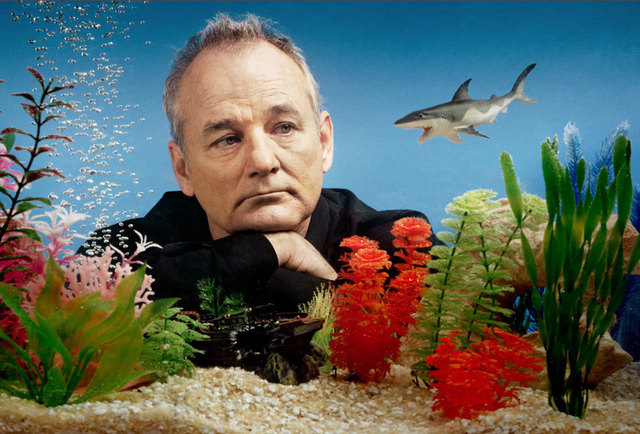 bill-murray