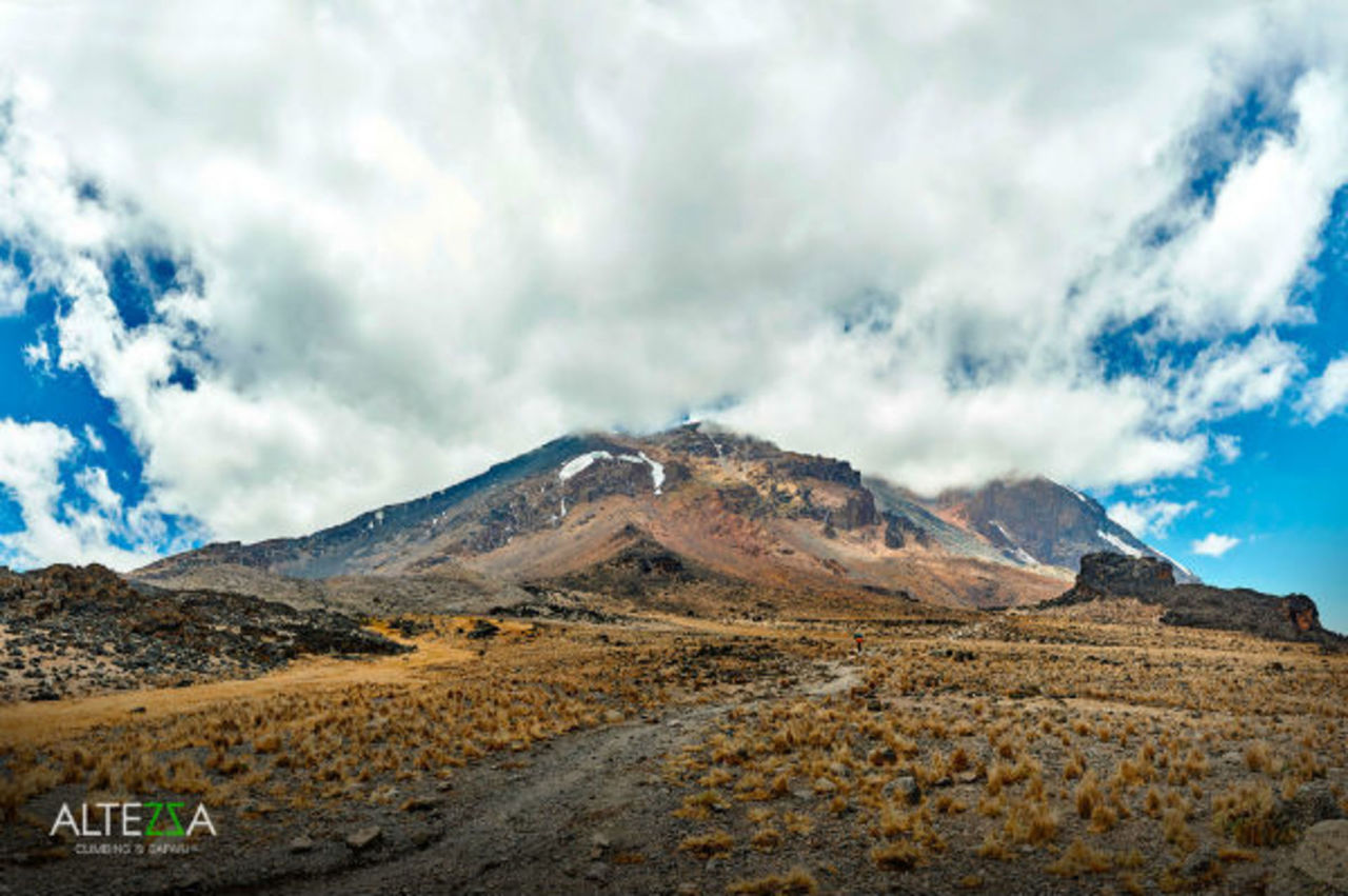 kilimanjaro